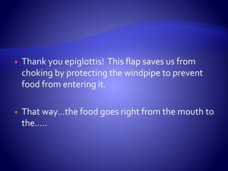  Thank you epiglottis! This flap saves us from
choking by protecting the windpipe to prevent
food from entering it.
 That way…the food goes right from the mouth to
the…..
 