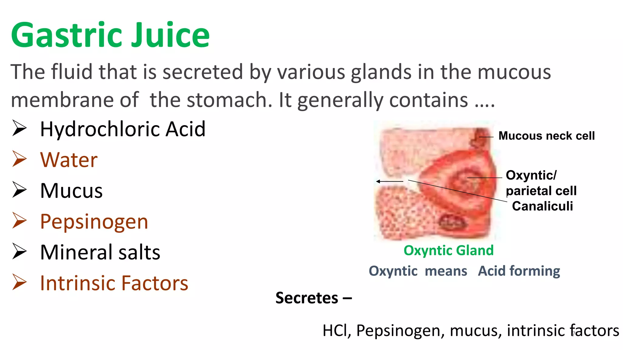 7
Gastric Juice
The fluid that is secreted by various glands in the mucous
membrane of the stomach. It generally contains ….
 Hydrochloric Acid
 Water
 Mucus
 Pepsinogen
 Mineral salts
 Intrinsic Factors
Fig. Oxyntic gland
Oxyntic/
parietal cell
Canaliculi
Mucous neck cell
Oxyntic Gland
Oxyntic means Acid forming
Secretes –
HCl, Pepsinogen, mucus, intrinsic factors
 