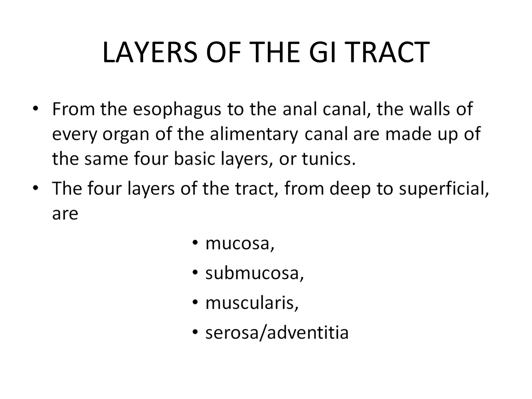 LAYERS OF THE GI TRACT
 