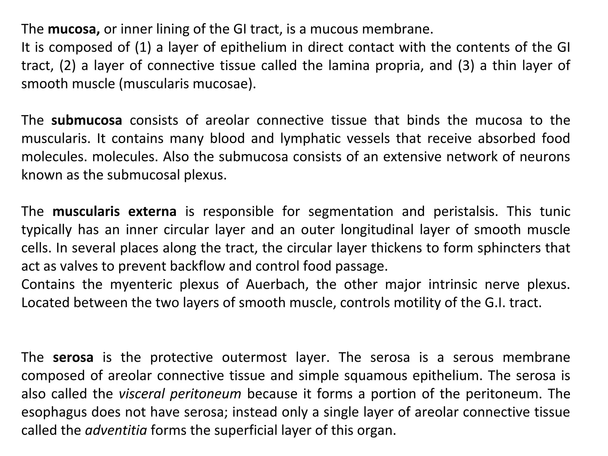 The mucosa, or inner lining of the GI tract, is a mucous membrane.
It is composed of (1) a layer of epithelium in direct contact with the contents of the GI
tract, (2) a layer of connective tissue called the lamina propria, and (3) a thin layer of
smooth muscle (muscularis mucosae).
The submucosa consists of areolar connective tissue that binds the mucosa to the
muscularis. It contains many blood and lymphatic vessels that receive absorbed food
molecules. molecules. Also the submucosa consists of an extensive network of neurons
known as the submucosal plexus.
The muscularis externa is responsible for segmentation and peristalsis. This tunic
typically has an inner circular layer and an outer longitudinal layer of smooth muscle
cells. In several places along the tract, the circular layer thickens to form sphincters that
act as valves to prevent backflow and control food passage.
Contains the myenteric plexus of Auerbach, the other major intrinsic nerve plexus.
Located between the two layers of smooth muscle, controls motility of the G.I. tract.
The serosa is the protective outermost layer. The serosa is a serous membrane
composed of areolar connective tissue and simple squamous epithelium. The serosa is
also called the visceral peritoneum because it forms a portion of the peritoneum. The
esophagus does not have serosa; instead only a single layer of areolar connective tissue
called the adventitia forms the superficial layer of this organ.
 