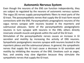 Even though the neurons of the ENS can function independently, they
are subject to regulated by the neurons of autonomic nervous system.
The vagus (X) nerves supply parasympathetic fibers to most parts of the
GI tract. The parasympathetic nerves that supply the GI tract form neural
connections with the ENS. Parasympathetic preganglionic neurons of the
vagus nerves synapse with neurons located in the myenteric and
submucosal plexuses. Some of the parasympathetic postganglionic
neurons in turn synapse with neurons in the ENS; others directly
innervate smooth muscle and glands within the wall of the GI tract.
Stimulation of the parasympathetic nerves causes an increase in GI
secretion and motility by increasing the activity of ENS neurons.
Sympathetic postganglionic neurons synapse with neurons located in the
myenteric plexus and the submucosal plexus. In general, the sympathetic
nerves that supply the GI tract cause a decrease in GI secretion and
motility by inhibiting the neurons of the ENS. Emotions such as anger,
fear, and anxiety may slow digestion because they stimulate the
sympathetic nerves that supply the GI tract.
Autonomic Nervous System
 