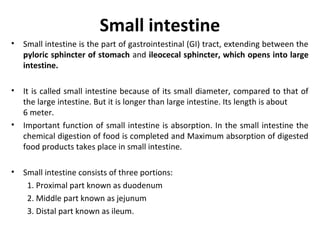 Small intestine
• Small intestine is the part of gastrointestinal (GI) tract, extending between the
pyloric sphincter of stomach and ileocecal sphincter, which opens into large
intestine.
• It is called small intestine because of its small diameter, compared to that of
the large intestine. But it is longer than large intestine. Its length is about
6 meter.
• Important function of small intestine is absorption. In the small intestine the
chemical digestion of food is completed and Maximum absorption of digested
food products takes place in small intestine.
• Small intestine consists of three portions:
1. Proximal part known as duodenum
2. Middle part known as jejunum
3. Distal part known as ileum.
 