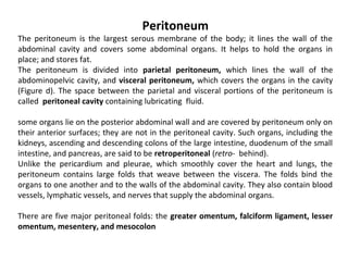 Peritoneum
The peritoneum is the largest serous membrane of the body; it lines the wall of the
abdominal cavity and covers some abdominal organs. It helps to hold the organs in
place; and stores fat.
The peritoneum is divided into parietal peritoneum, which lines the wall of the
abdominopelvic cavity, and visceral peritoneum, which covers the organs in the cavity
(Figure d). The space between the parietal and visceral portions of the peritoneum is
called peritoneal cavity containing lubricating fluid.
some organs lie on the posterior abdominal wall and are covered by peritoneum only on
their anterior surfaces; they are not in the peritoneal cavity. Such organs, including the
kidneys, ascending and descending colons of the large intestine, duodenum of the small
intestine, and pancreas, are said to be retroperitoneal (retro- behind).
Unlike the pericardium and pleurae, which smoothly cover the heart and lungs, the
peritoneum contains large folds that weave between the viscera. The folds bind the
organs to one another and to the walls of the abdominal cavity. They also contain blood
vessels, lymphatic vessels, and nerves that supply the abdominal organs.
There are five major peritoneal folds: the greater omentum, falciform ligament, lesser
omentum, mesentery, and mesocolon
 