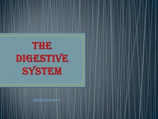 digestivesystem
 