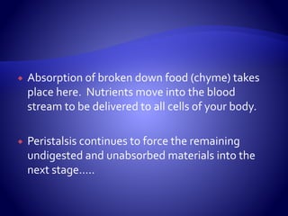  Absorption of broken down food (chyme) takes
place here. Nutrients move into the blood
stream to be delivered to all cells of your body.
 Peristalsis continues to force the remaining
undigested and unabsorbed materials into the
next stage…..
 