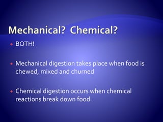  BOTH!
 Mechanical digestion takes place when food is
chewed, mixed and churned
 Chemical digestion occurs when chemical
reactions break down food.
 