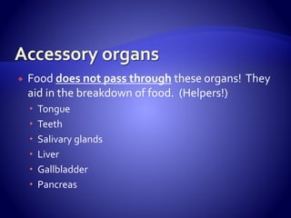  Food does not pass through these organs! They
aid in the breakdown of food. (Helpers!)
 Tongue
 Teeth
 Salivary glands
 Liver
 Gallbladder
 Pancreas
 