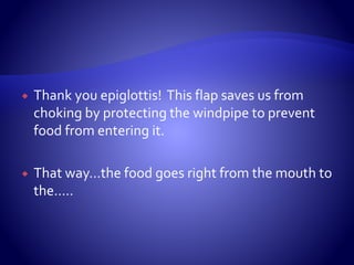  Thank you epiglottis! This flap saves us from
choking by protecting the windpipe to prevent
food from entering it.
 That way…the food goes right from the mouth to
the…..
 