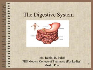 1
The Digestive System
Ms. Rohini R. Pujari
PES Modern College of Pharmacy (For Ladies),
Moshi, Pune
 