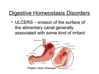 Digestive Homeostasis Disorders
• ULCERS – erosion of the surface of
the alimentary canal generally
associated with some kind of irritant
 