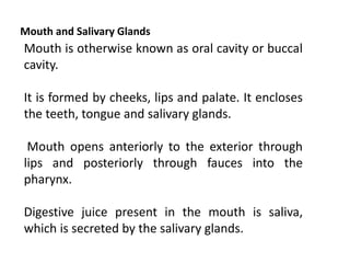 Mouth and Salivary Glands
Mouth is otherwise known as oral cavity or buccal
cavity.
It is formed by cheeks, lips and palate. It encloses
the teeth, tongue and salivary glands.
Mouth opens anteriorly to the exterior through
lips and posteriorly through fauces into the
pharynx.
Digestive juice present in the mouth is saliva,
which is secreted by the salivary glands.
 