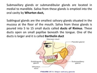Submaxillary glands or submandibular glands are located in
medial to mandible. Saliva from these glands is emptied into the
oral cavity by Wharton duct,
Sublingual glands are the smallest salivary glands situated in the
mucosa at the floor of the mouth. Saliva from these glands is
poured into 5 to 15 small ducts called ducts of Rivinus. These
ducts open on small papillae beneath the tongue. One of the
ducts is larger and it is called Bartholin duct
 