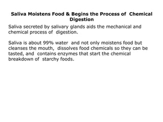 Saliva Moistens Food & Begins the Process of Chemical
Digestion
Saliva secreted by salivary glands aids the mechanical and
chemical process of digestion.
Saliva is about 99% water and not only moistens food but
cleanses the mouth, dissolves food chemicals so they can be
tasted, and contains enzymes that start the chemical
breakdown of starchy foods.
 