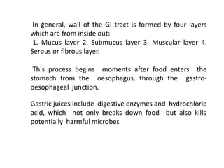 In general, wall of the GI tract is formed by four layers
which are from inside out:
1. Mucus layer 2. Submucus layer 3. Muscular layer 4.
Serous or fibrous layer.
This process begins moments after food enters the
stomach from the oesophagus, through the gastro-
oesophageal junction.
Gastric juices include digestive enzymes and hydrochloric
acid, which not only breaks down food but also kills
potentially harmful microbes
.
 