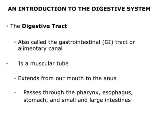 AN INTRODUCTION TO THE DIGESTIVE SYSTEM
• The Digestive Tract
• Also called the gastrointestinal (GI) tract or
alimentary canal
• Is a muscular tube
• Extends from our mouth to the anus
• Passes through the pharynx, esophagus,
stomach, and small and large intestines
 