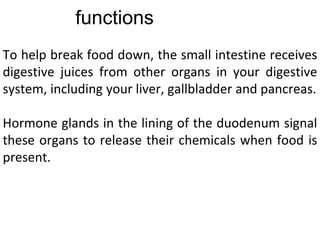 functions
To help break food down, the small intestine receives
digestive juices from other organs in your digestive
system, including your liver, gallbladder and pancreas.
Hormone glands in the lining of the duodenum signal
these organs to release their chemicals when food is
present.
 