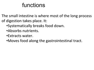 functions
The small intestine is where most of the long process
of digestion takes place. It:
•Systematically breaks food down.
•Absorbs nutrients.
•Extracts water.
•Moves food along the gastrointestinal tract.
 