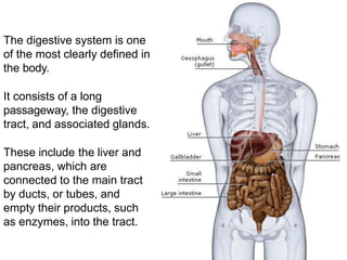 The digestive system is one
of the most clearly defined in
the body.
It consists of a long
passageway, the digestive
tract, and associated glands.
These include the liver and
pancreas, which are
connected to the main tract
by ducts, or tubes, and
empty their products, such
as enzymes, into the tract.
 
