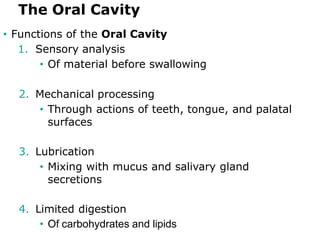 The Oral Cavity
• Functions of the Oral Cavity
1. Sensory analysis
• Of material before swallowing
2. Mechanical processing
• Through actions of teeth, tongue, and palatal
surfaces
3. Lubrication
• Mixing with mucus and salivary gland
secretions
4. Limited digestion
• Of carbohydrates and lipids
 