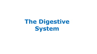 The Digestive
System
1
 