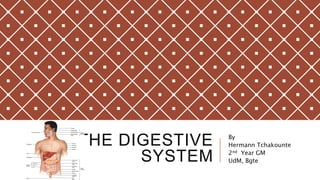 THE DIGESTIVE
SYSTEM
By
Hermann Tchakounte
2nd Year GM
UdM, Bgte
 