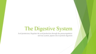 The Digestive System
Acid production, Regulate the acid production through the parasympathetic
nervous system, pepsin role in protein digestion
 