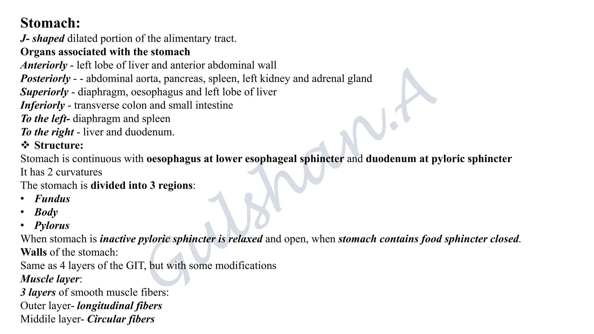 Stomach:
J- shaped dilated portion of the alimentary tract.
Organs associated with the stomach
Anteriorly - left lobe of liver and anterior abdominal wall
Posteriorly - - abdominal aorta, pancreas, spleen, left kidney and adrenal gland
Superiorly - diaphragm, oesophagus and left lobe of liver
Inferiorly - transverse colon and small intestine
To the left- diaphragm and spleen
To the right - liver and duodenum.
❖ Structure:
Stomach is continuous with oesophagus at lower esophageal sphincter and duodenum at pyloric sphincter
It has 2 curvatures
The stomach is divided into 3 regions:
• Fundus
• Body
• Pylorus
When stomach is inactive pyloric sphincter is relaxed and open, when stomach contains food sphincter closed.
Walls of the stomach:
Same as 4 layers of the GIT, but with some modifications
Muscle layer:
3 layers of smooth muscle fibers:
Outer layer- longitudinal fibers
Middile layer- Circular fibers
 