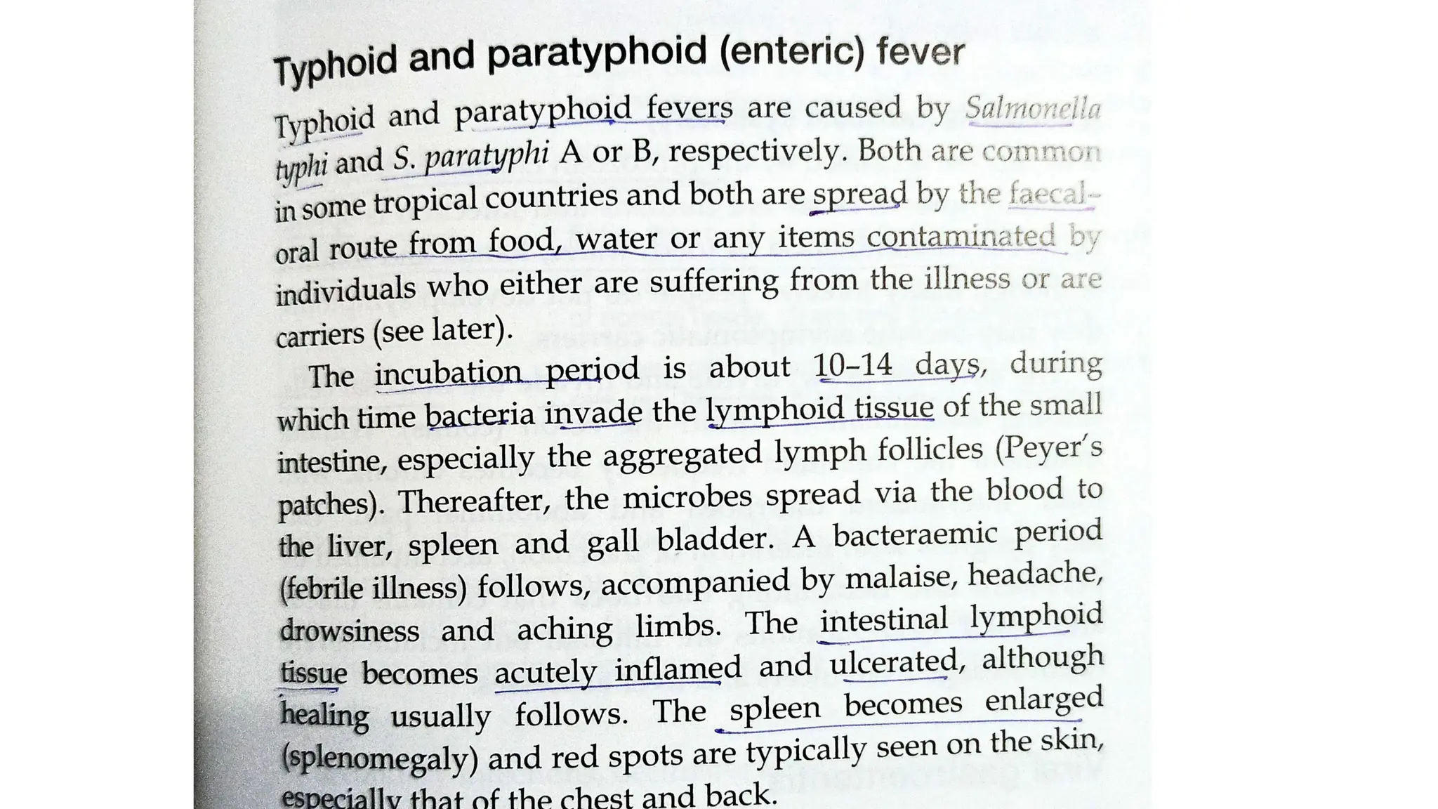 The digestive system, structure, functions and their disorders.pdf