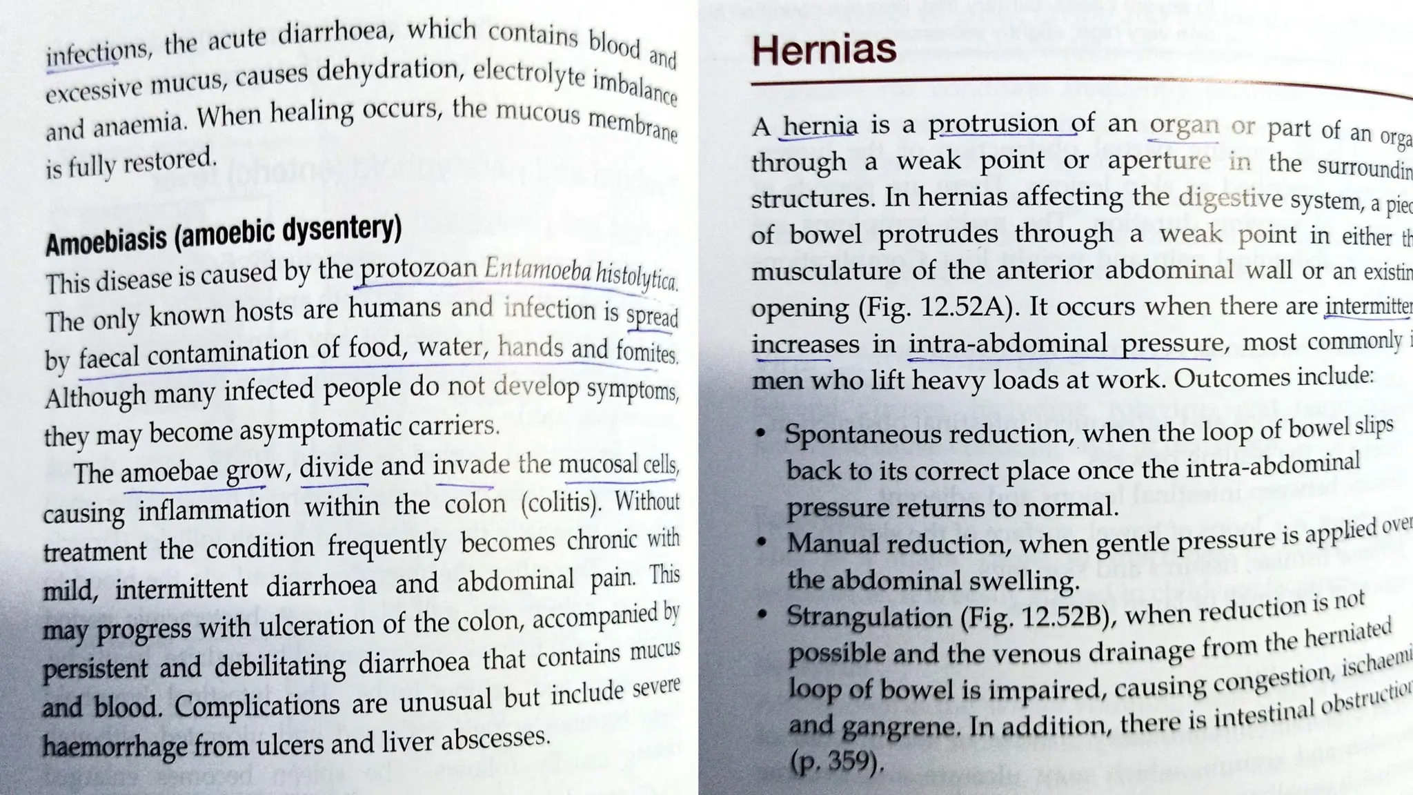 The digestive system, structure, functions and their disorders.pdf