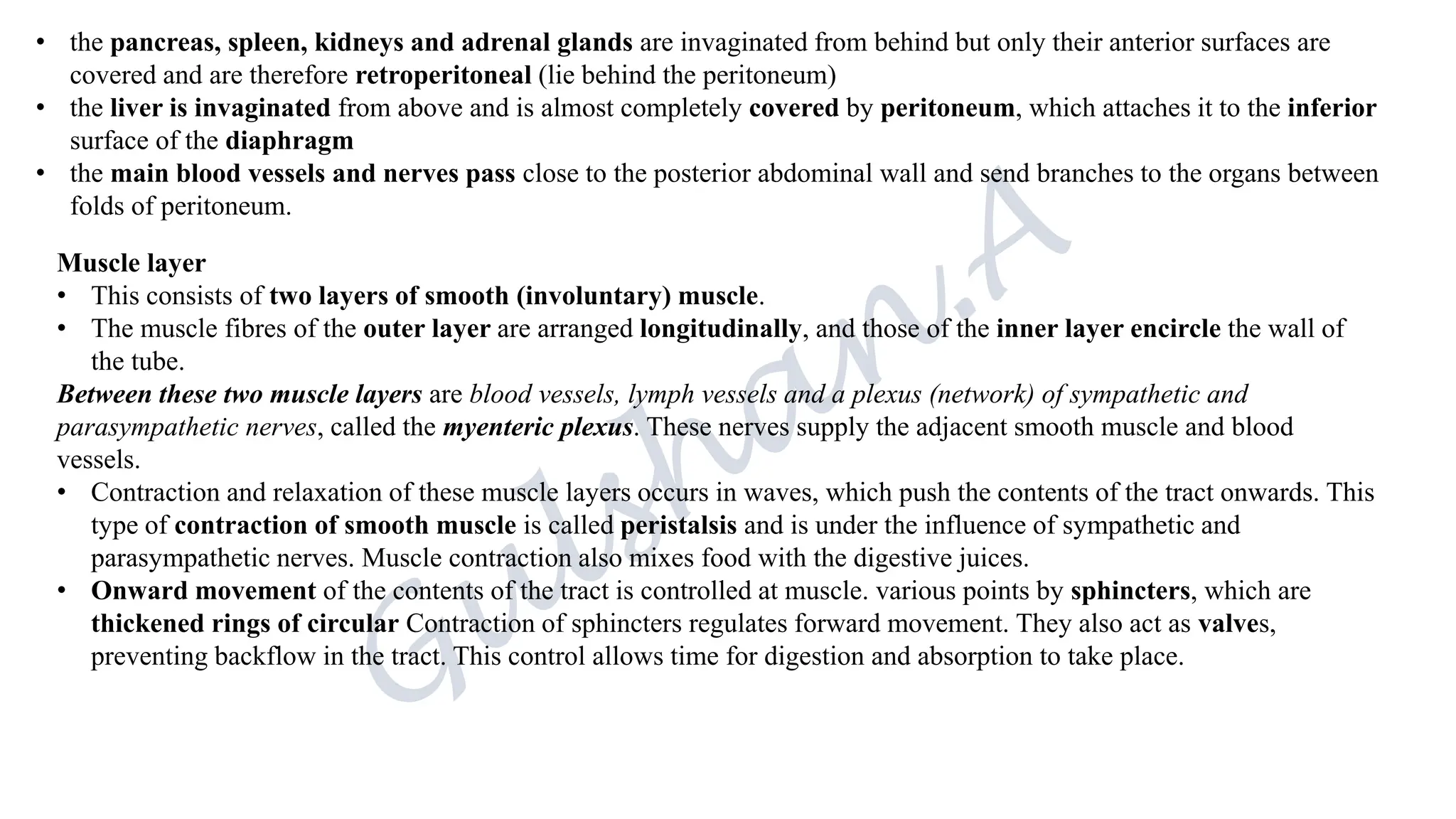 • the pancreas, spleen, kidneys and adrenal glands are invaginated from behind but only their anterior surfaces are
covered and are therefore retroperitoneal (lie behind the peritoneum)
• the liver is invaginated from above and is almost completely covered by peritoneum, which attaches it to the inferior
surface of the diaphragm
• the main blood vessels and nerves pass close to the posterior abdominal wall and send branches to the organs between
folds of peritoneum.
Muscle layer
• This consists of two layers of smooth (involuntary) muscle.
• The muscle fibres of the outer layer are arranged longitudinally, and those of the inner layer encircle the wall of
the tube.
Between these two muscle layers are blood vessels, lymph vessels and a plexus (network) of sympathetic and
parasympathetic nerves, called the myenteric plexus. These nerves supply the adjacent smooth muscle and blood
vessels.
• Contraction and relaxation of these muscle layers occurs in waves, which push the contents of the tract onwards. This
type of contraction of smooth muscle is called peristalsis and is under the influence of sympathetic and
parasympathetic nerves. Muscle contraction also mixes food with the digestive juices.
• Onward movement of the contents of the tract is controlled at muscle. various points by sphincters, which are
thickened rings of circular Contraction of sphincters regulates forward movement. They also act as valves,
preventing backflow in the tract. This control allows time for digestion and absorption to take place.
 