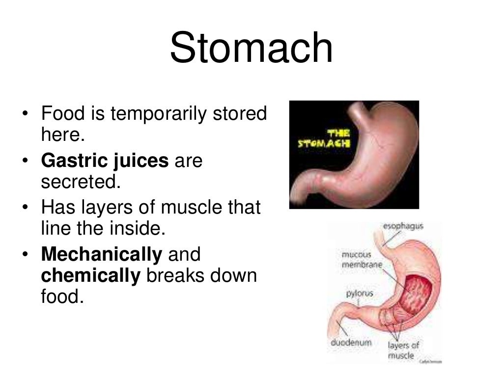 The digestivesystem and disorders