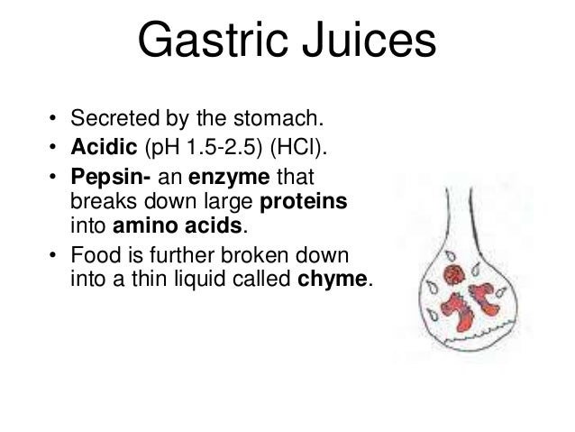 The digestivesystem and disorders