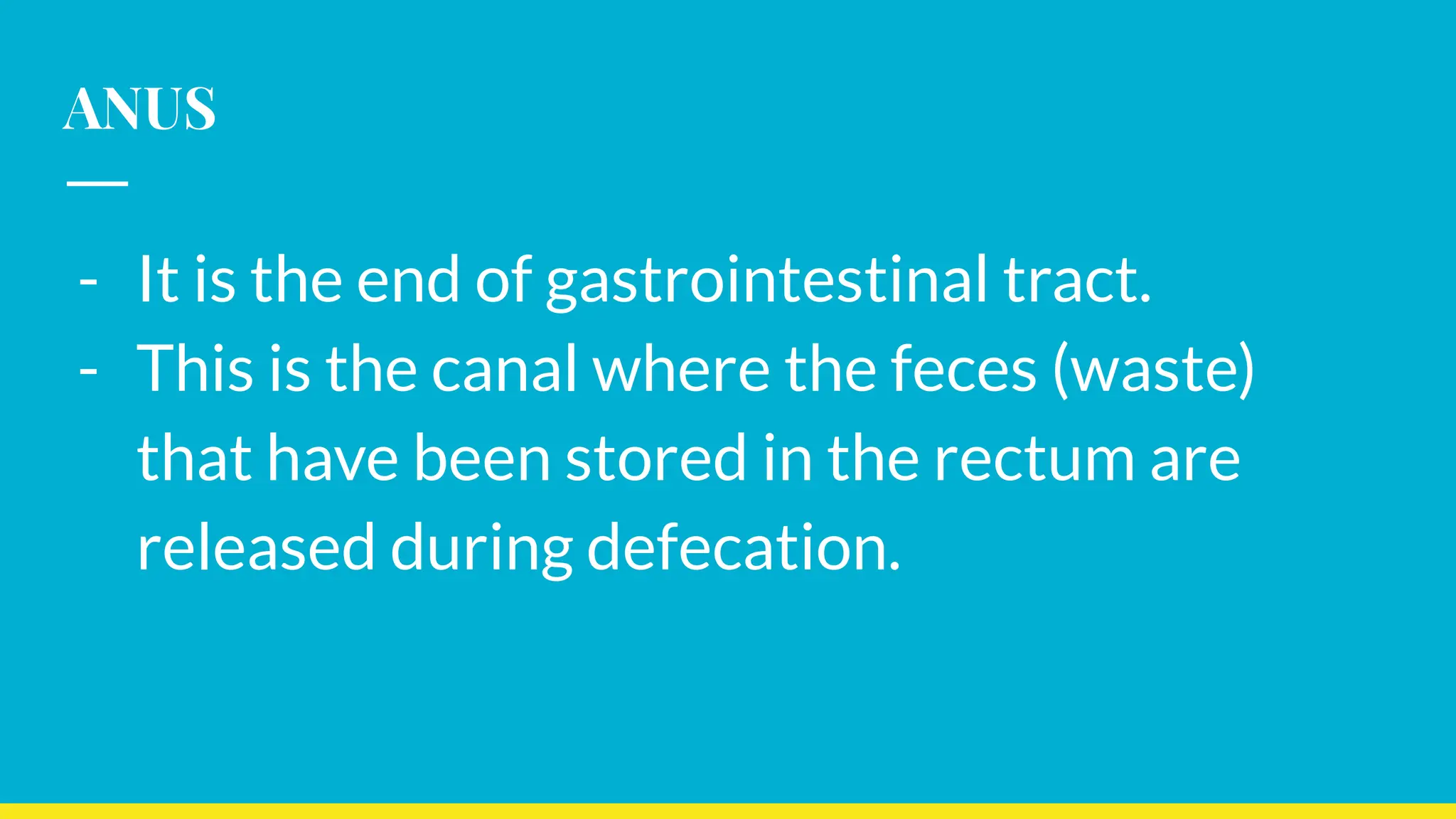 ANUS
- It is the end of gastrointestinal tract.
- This is the canal where the feces (waste)
that have been stored in the rectum are
released during defecation.
 