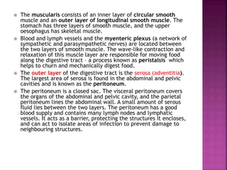  The muscularis consists of an inner layer of circular smooth
muscle and an outer layer of longitudinal smooth muscle. The
stomach has three layers of smooth muscle, and the upper
oesophagus has skeletal muscle.
 Blood and lymph vessels and the myenteric plexus (a network of
sympathetic and parasympathetic nerves) are located between
the two layers of smooth muscle. The wave-like contraction and
relaxation of this muscle layer are responsible for moving food
along the digestive tract – a process known as peristalsis which
helps to churn and mechanically digest food.
 The outer layer of the digestive tract is the serosa (adventitia).
The largest area of serosa is found in the abdominal and pelvic
cavities and is known as the peritoneum.
 The peritoneum is a closed sac. The visceral peritoneum covers
the organs of the abdominal and pelvic cavity, and the parietal
peritoneum lines the abdominal wall. A small amount of serous
fluid lies between the two layers. The peritoneum has a good
blood supply and contains many lymph nodes and lymphatic
vessels. It acts as a barrier, protecting the structures it encloses,
and can act to isolate areas of infection to prevent damage to
neighbouring structures.
 