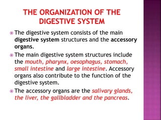  The digestive system consists of the main
digestive system structures and the accessory
organs.
 The main digestive system structures include
the mouth, pharynx, oesophagus, stomach,
small intestine and large intestine. Accessory
organs also contribute to the function of the
digestive system.
 The accessory organs are the salivary glands,
the liver, the gallbladder and the pancreas.
 