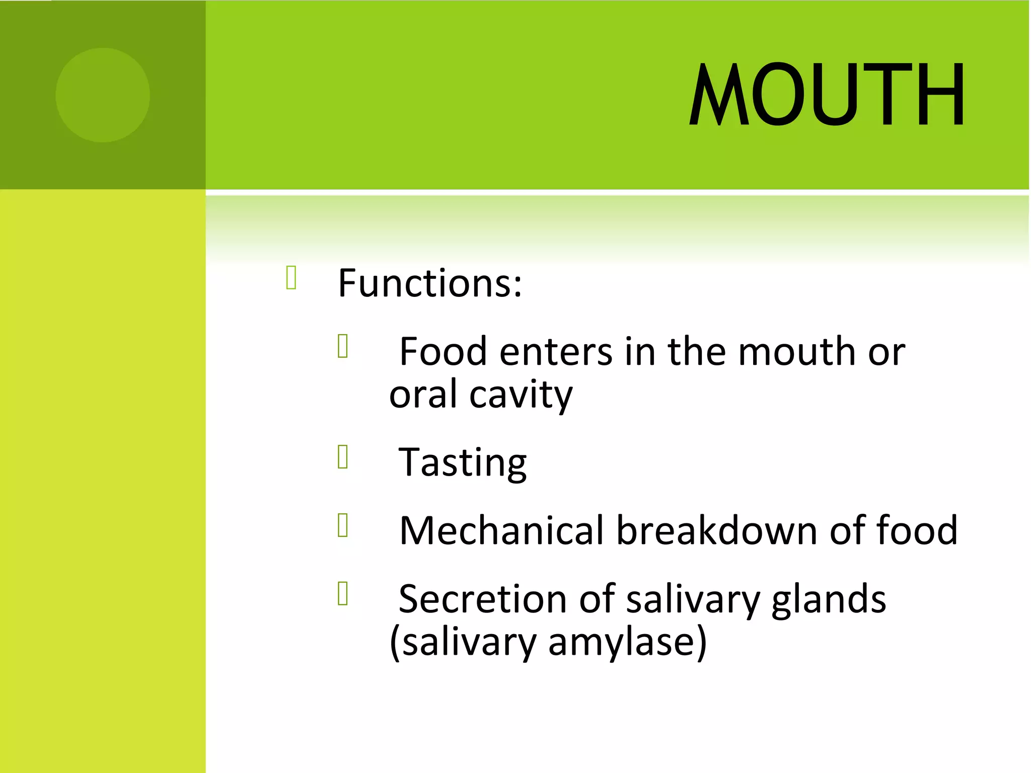 MOUTH
   Functions:
       Food enters in the mouth or
        oral cavity
       Tasting
       Mechanical breakdown of food
        Secretion of salivary glands
        (salivary amylase)
 