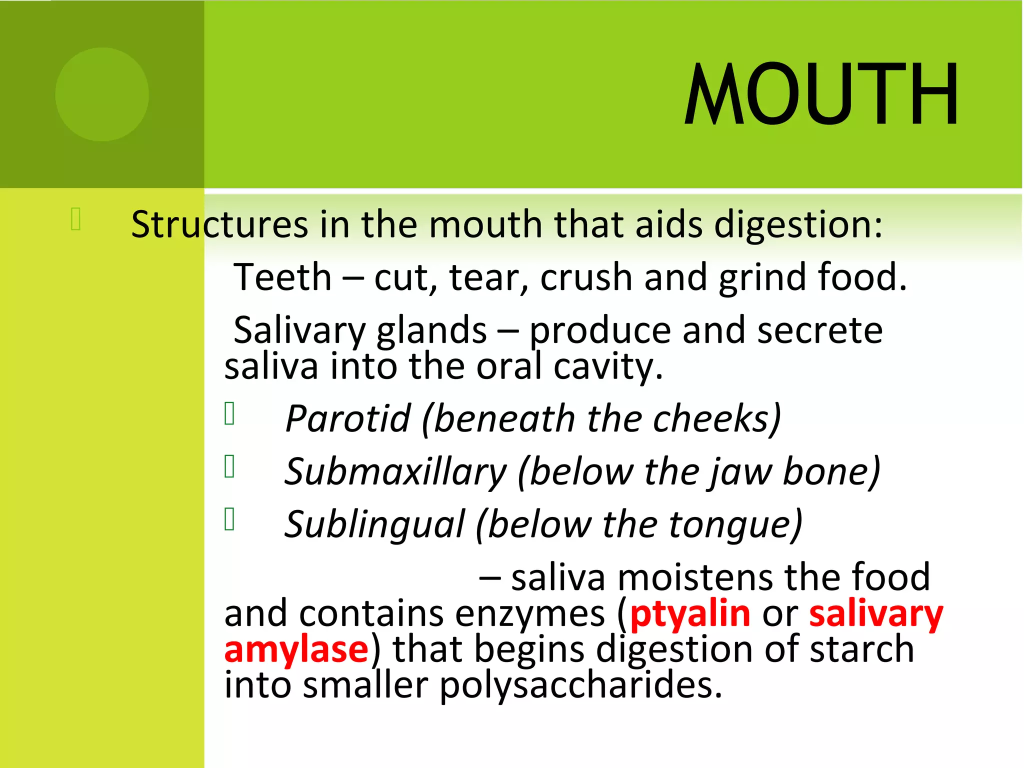 MOUTH
   Structures in the mouth that aids digestion:
        Teeth – cut, tear, crush and grind food.
        Salivary glands – produce and secrete
         saliva into the oral cavity.
          Parotid (beneath the cheeks)
          Submaxillary (below the jaw bone)
          Sublingual (below the tongue)
                         – saliva moistens the food
         and contains enzymes (ptyalin or salivary
         amylase) that begins digestion of starch
         into smaller polysaccharides.
 