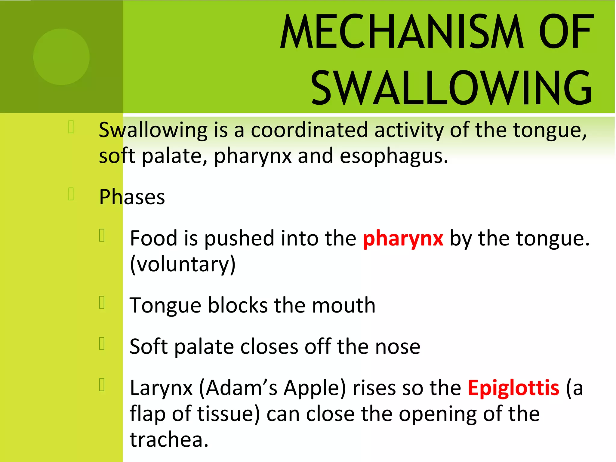 MECHANISM OF
                        SWALLOWING
   Swallowing is a coordinated activity of the tongue,
    soft palate, pharynx and esophagus.
   Phases
       Food is pushed into the pharynx by the tongue.
        (voluntary)
       Tongue blocks the mouth
       Soft palate closes off the nose
       Larynx (Adam’s Apple) rises so the Epiglottis (a
        flap of tissue) can close the opening of the
        trachea.
 