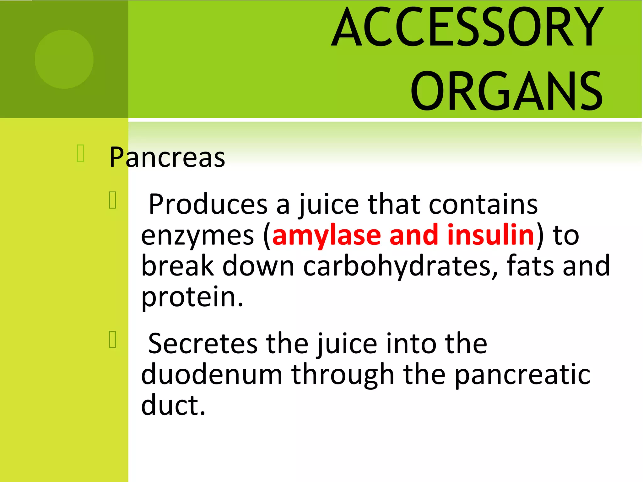 ACCESSORY
                     ORGANS
   Pancreas
     Produces a juice that contains
      enzymes (amylase and insulin) to
      break down carbohydrates, fats and
      protein.
     Secretes the juice into the
      duodenum through the pancreatic
      duct.
 