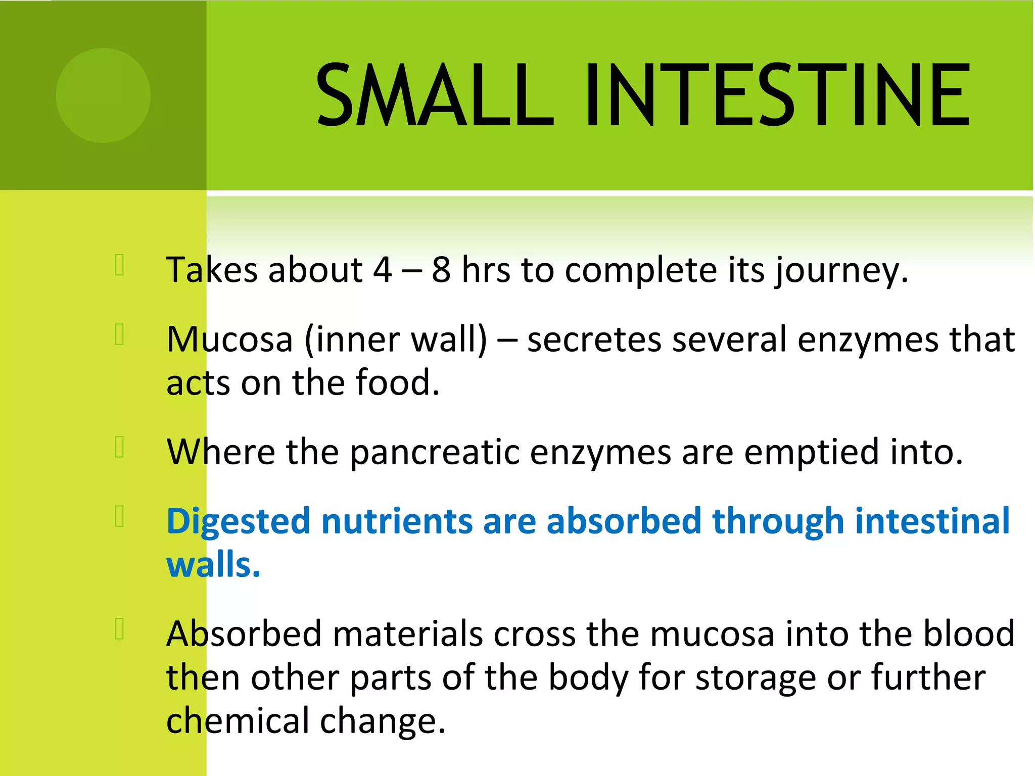 SMALL INTESTINE
   Takes about 4 – 8 hrs to complete its journey.
   Mucosa (inner wall) – secretes several enzymes that
    acts on the food.
   Where the pancreatic enzymes are emptied into.
   Digested nutrients are absorbed through intestinal
    walls.
   Absorbed materials cross the mucosa into the blood
    then other parts of the body for storage or further
    chemical change.
 