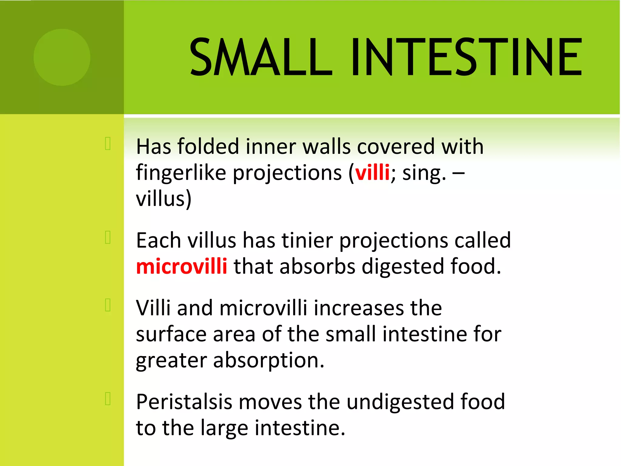 SMALL INTESTINE
   Has folded inner walls covered with
    fingerlike projections (villi; sing. –
    villus)
   Each villus has tinier projections called
    microvilli that absorbs digested food.
   Villi and microvilli increases the
    surface area of the small intestine for
    greater absorption.
   Peristalsis moves the undigested food
    to the large intestine.
 