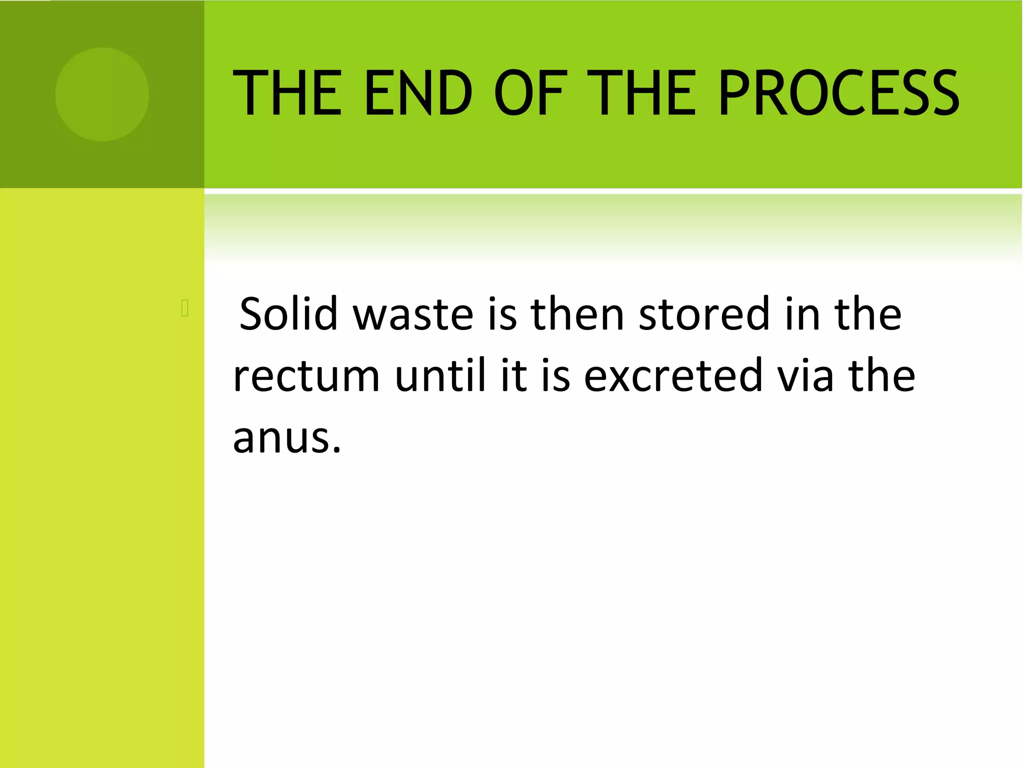 THE END OF THE PROCESS 



    Solid waste is then stored in the
    rectum until it is excreted via the
    anus.
 