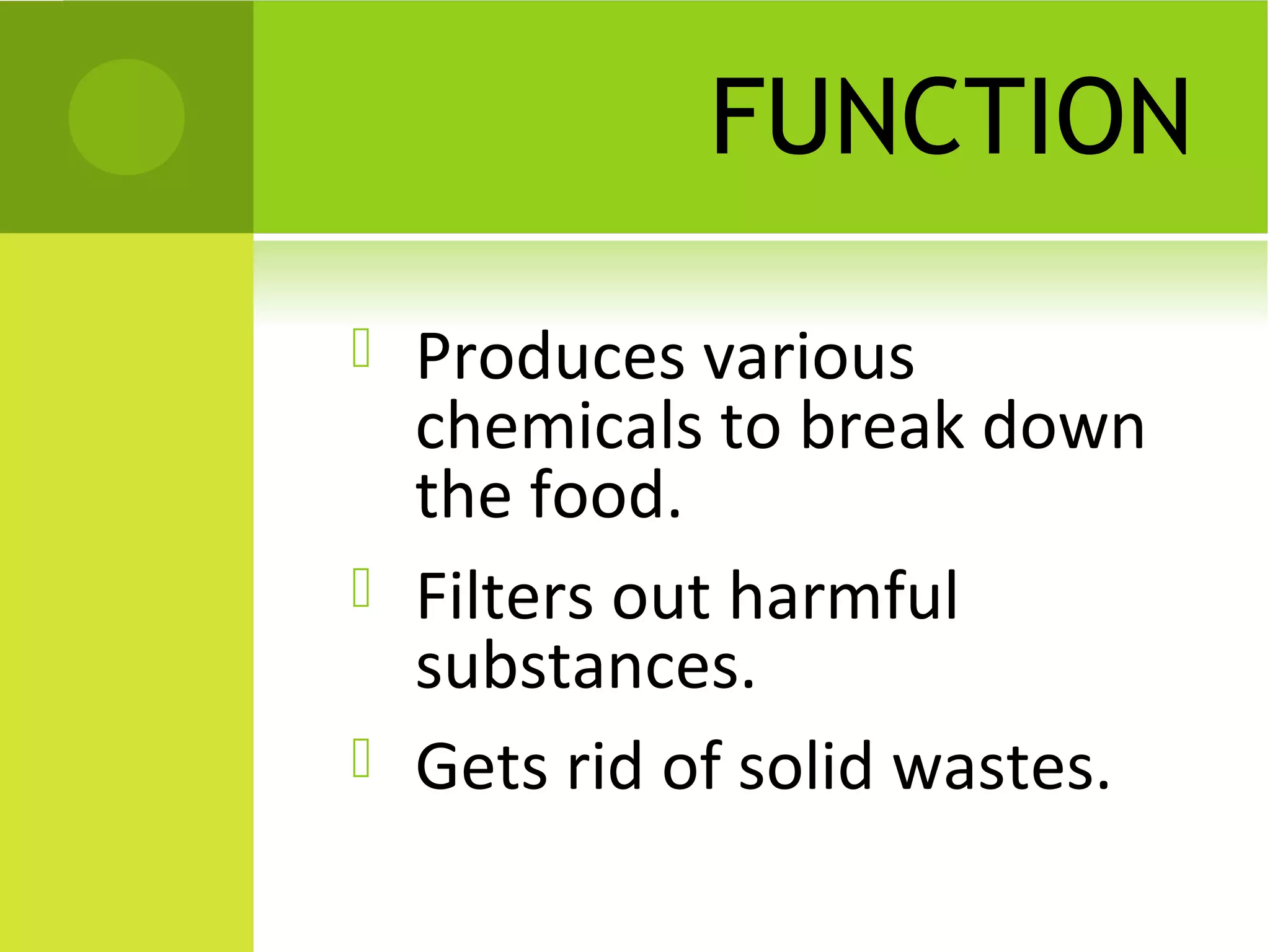 FUNCTION

   Produces various
    chemicals to break down
    the food.
   Filters out harmful
    substances.
   Gets rid of solid wastes.
 