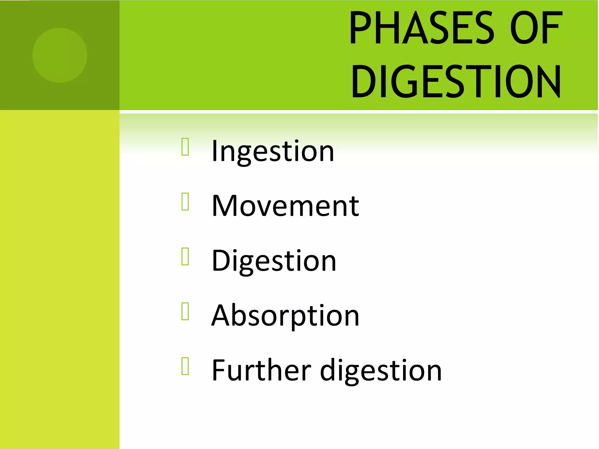 PHASES OF
                DIGESTION
   Ingestion
   Movement
   Digestion
   Absorption
   Further digestion
 