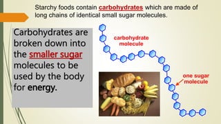 Starchy foods contain carbohydrates which are made of
long chains of identical small sugar molecules.
carbohydrate
molecule
one sugar
molecule
Carbohydrates are
broken down into
the smaller sugar
molecules to be
used by the body
for energy.
 