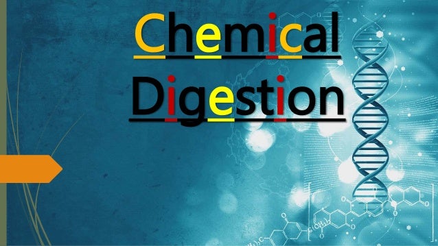 activity 1 chemical digestion Name:_____ ex 39b: chemical and physical processes of digestion: computer simulation data sheet ziser, 2001 activity 1`: assessing animal starch digestion by salivary amylase. activity 1 chemical digestion Name:_____ ex 39b: chemical and physical processes of digestion: computer simulation data sheet ziser, 2001 activity 1`: assessing animal starch digestion by salivary amylase.