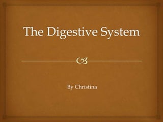 The Digestive System By Christina 