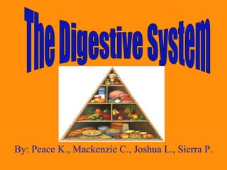By: Peace K., Mackenzie C., Joshua L., Sierra P. The Digestive System 