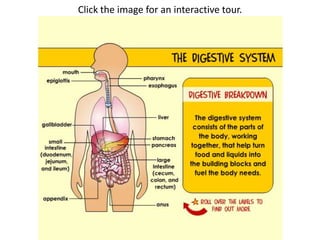 Click the image for an interactive tour.