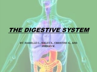 THE DIGESTIVE SYSTEM
By: Isabelle C., Haley S., Christine G., and
Jordan W.

 